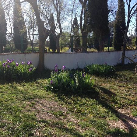 Agroturismo Calixto Villarrobledo Zewnętrze zdjęcie