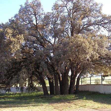 Agroturismo Calixto Villarrobledo Zewnętrze zdjęcie