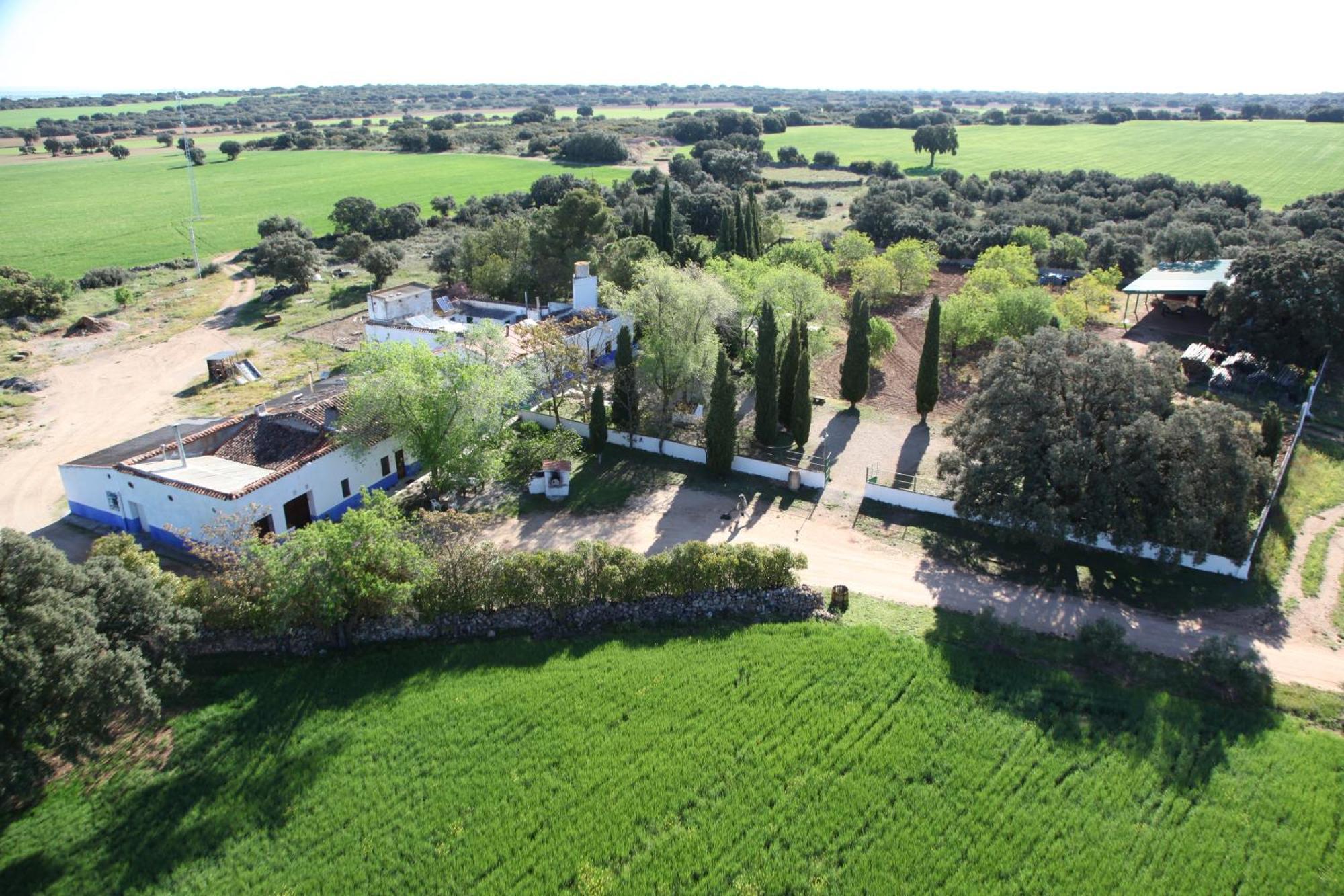 Agroturismo Calixto Villarrobledo Zewnętrze zdjęcie